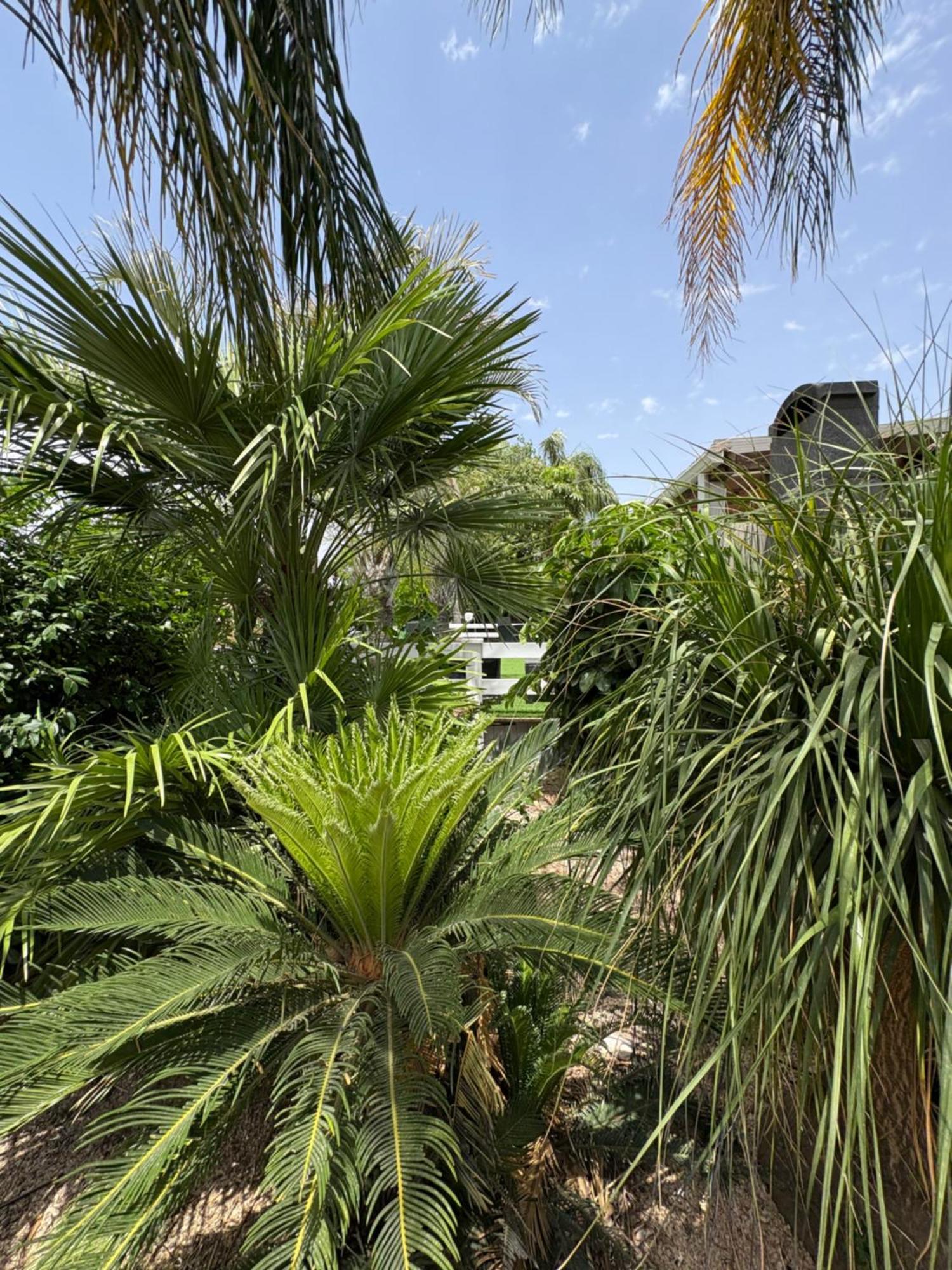Kesem Bagolan Villa Had Nes Exterior photo